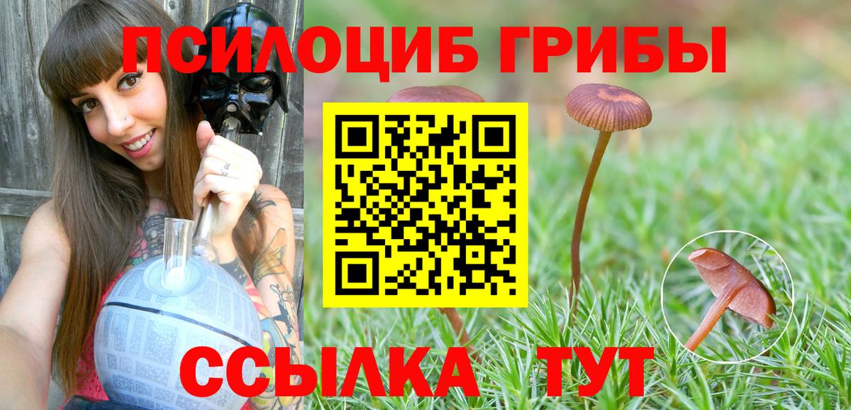 купить закладку  Вход с VPN  Выкса  Псилоцибиновые грибы мухоморы 